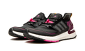 ULTRABOOST C.RDY WMNS "Black Power Berry" EG9803