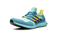 UltraBoost 1.0 DNA "Aqua ZX 8000" H05263